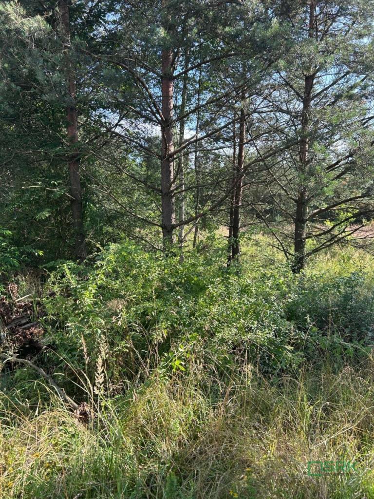 Działka inwestycyjna 5,46&nbsp;ha, Mysłowice, 11 listopada - zdjęcie 2