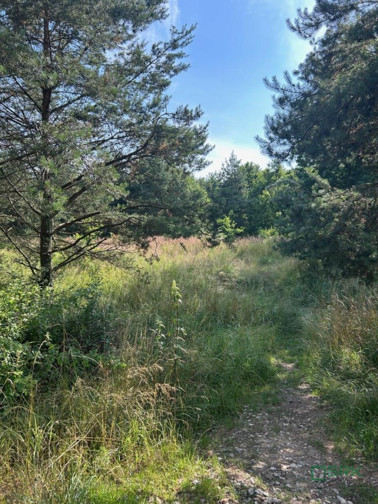 Działka inwestycyjna 5,46&nbsp;ha, Mysłowice, 11 listopada - zdjęcie 3
