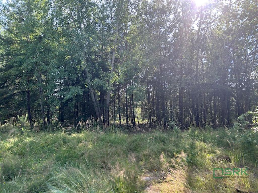 Działka inwestycyjna 5,46&nbsp;ha, Mysłowice, 11 listopada - zdjęcie 4