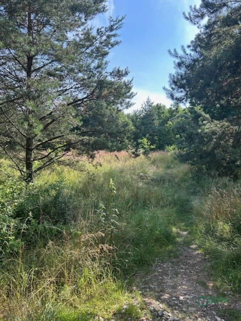 Działka inwestycyjna 5,46&nbsp;ha, Mysłowice, 11 listopada - zdjęcie 6