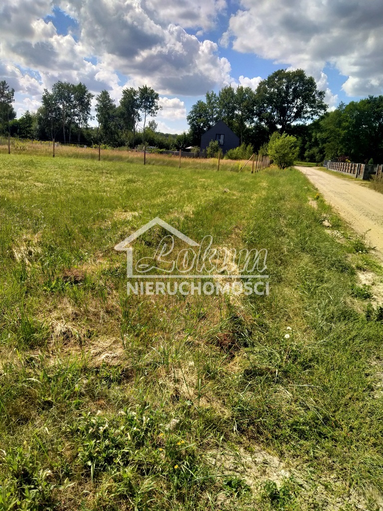 Działka budowlana 3179&nbsp;m², Grzepnica - zdjęcie 4