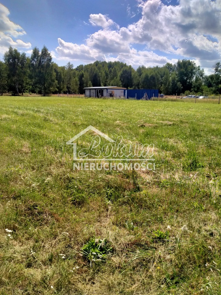 Działka budowlana 3179&nbsp;m², Grzepnica - zdjęcie 2