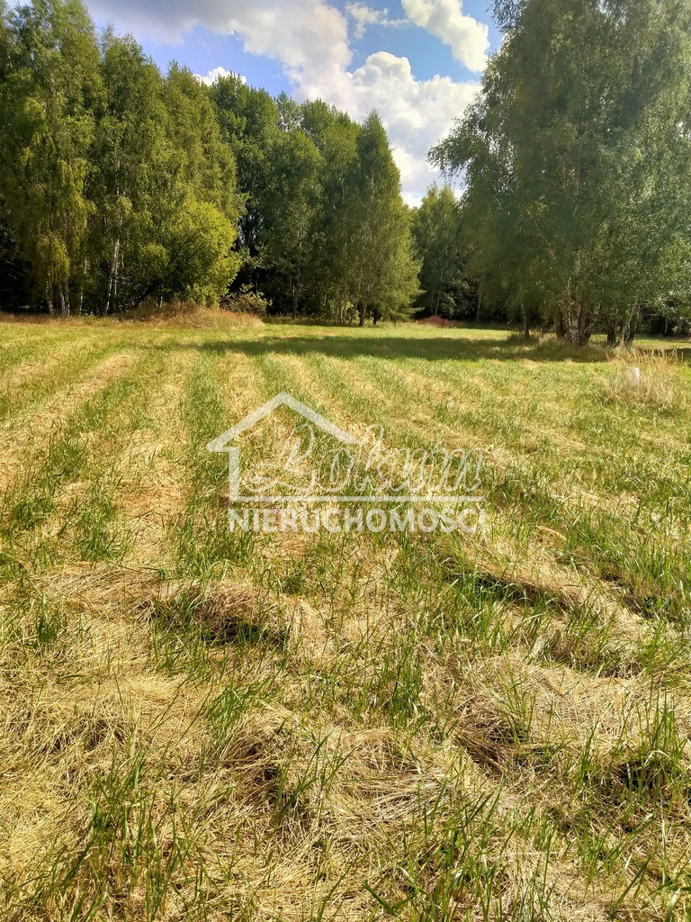 Działka budowlana 3179&nbsp;m², Grzepnica - zdjęcie 1