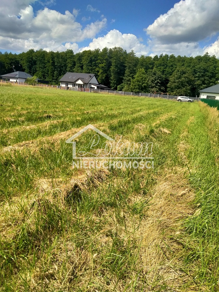 Działka budowlana 3179&nbsp;m², Grzepnica - zdjęcie 3
