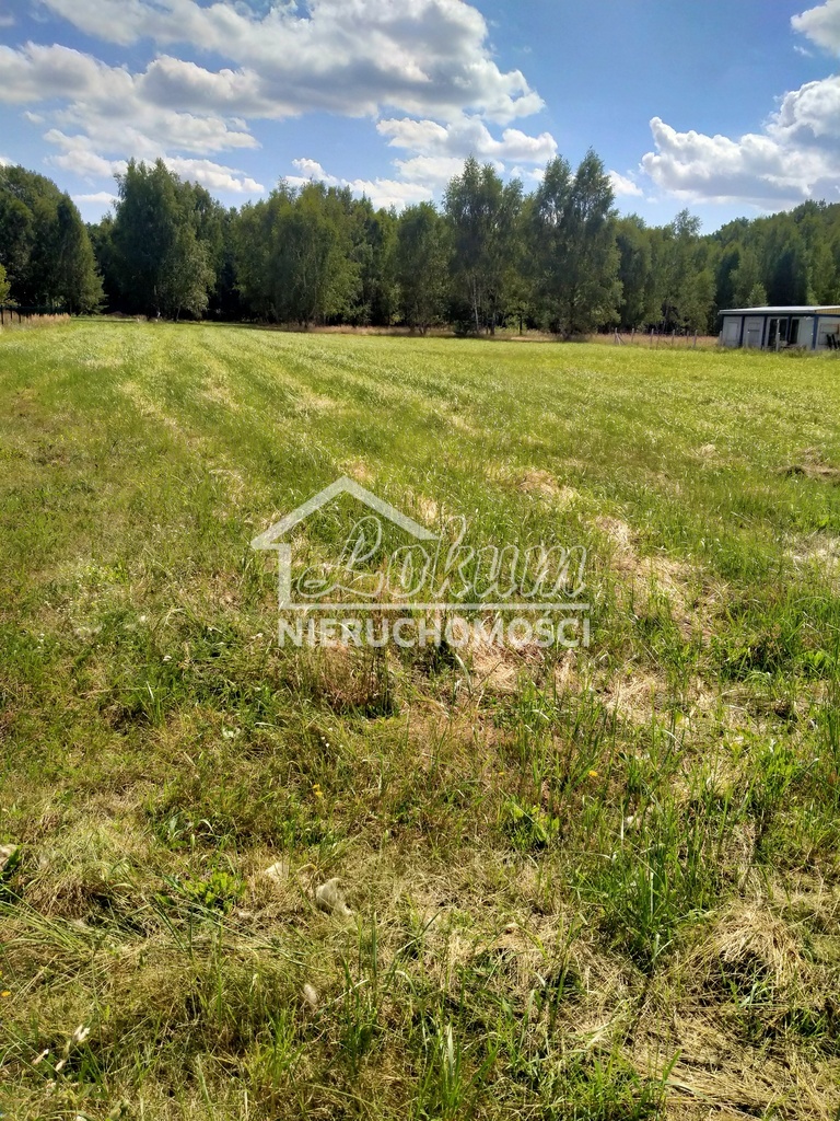 Działka budowlana 3179&nbsp;m², Grzepnica - zdjęcie 11