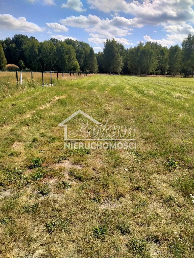 Działka budowlana 3179&nbsp;m², Grzepnica - zdjęcie 9