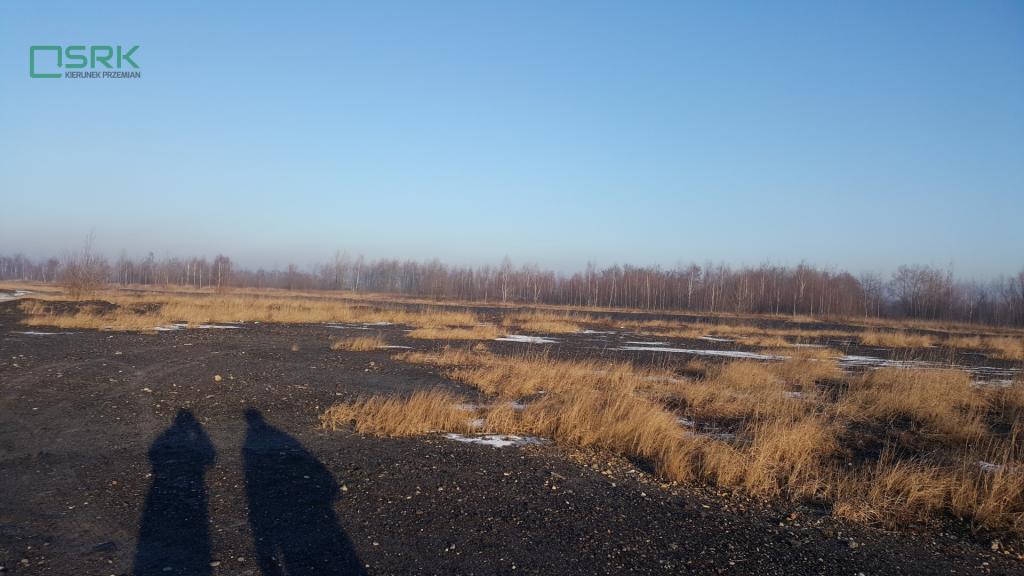 Działka inwestycyjna 10,99 ha, Brzeszcze, Św. Wojciecha - zdjęcie 2