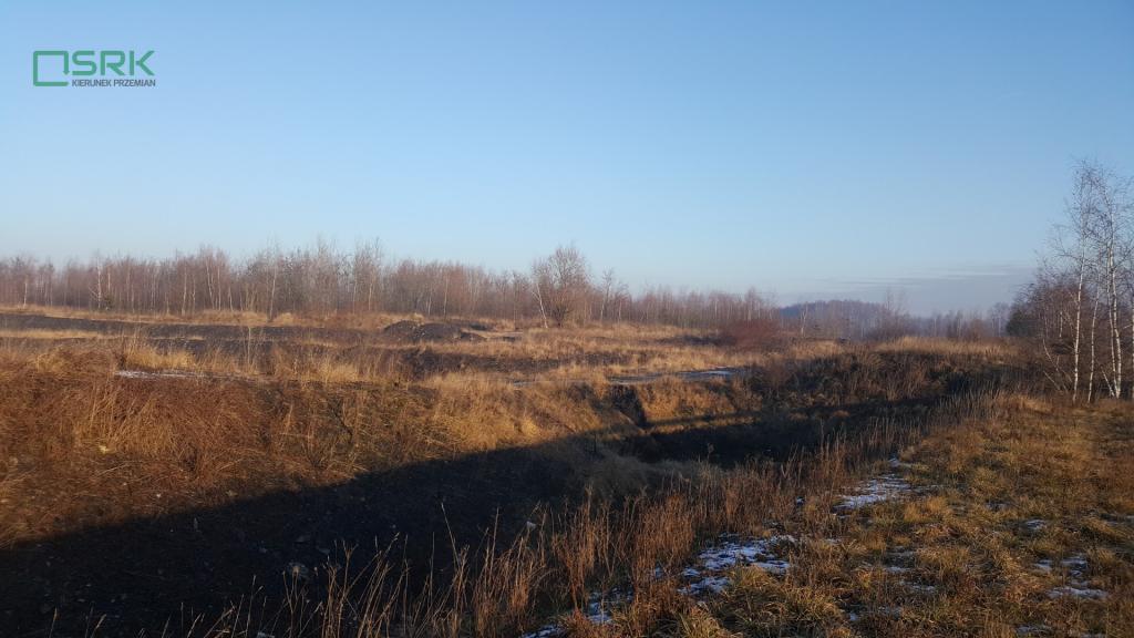 Działka inwestycyjna 10,99 ha, Brzeszcze, Św. Wojciecha - zdjęcie 5