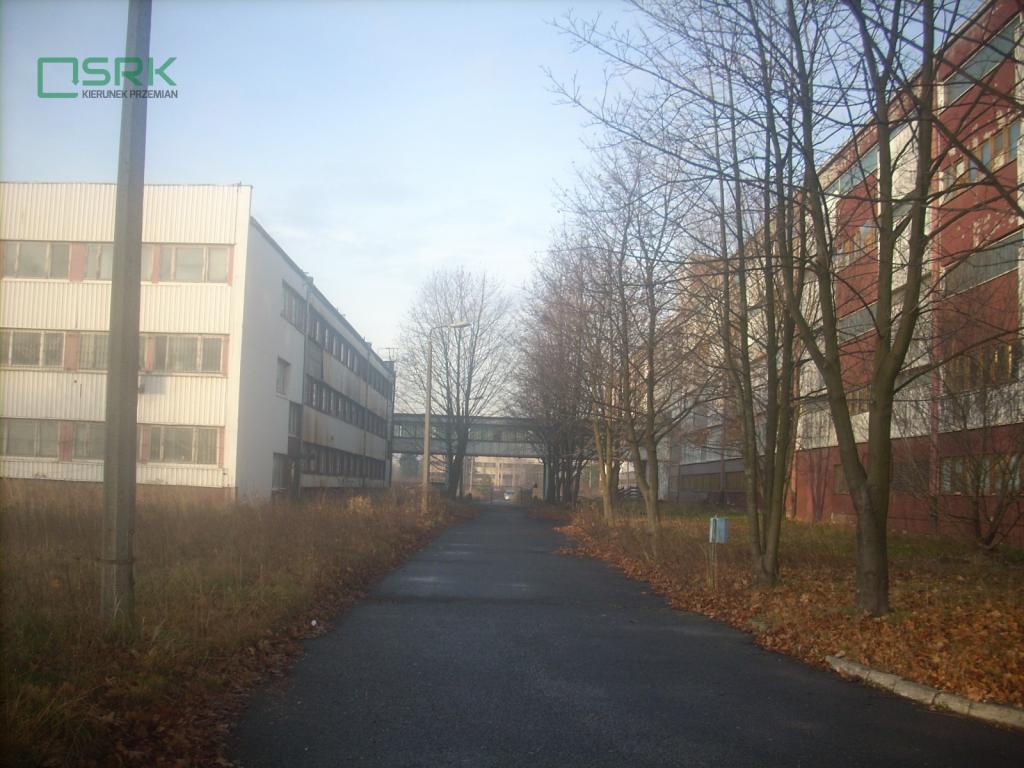 Działka inwestycyjna 2,51 ha, Miedźna, Kopalniana - zdjęcie 8