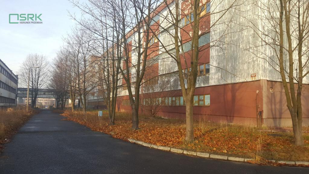 Działka inwestycyjna 2,51 ha, Miedźna, Kopalniana - zdjęcie 3