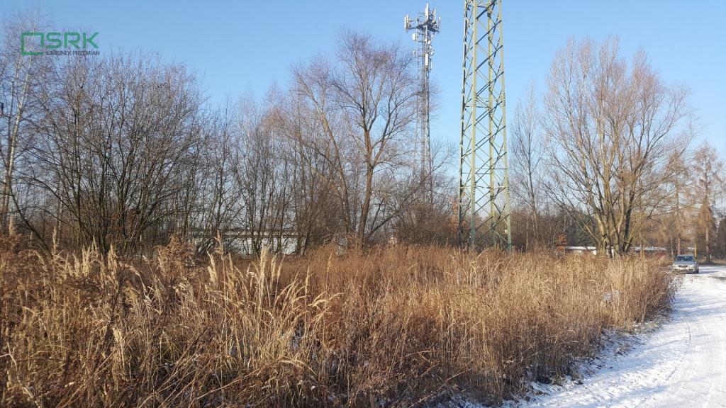 Działka inwestycyjna 2,99 ha, Brzeszcze, Lesisko - zdjęcie 2
