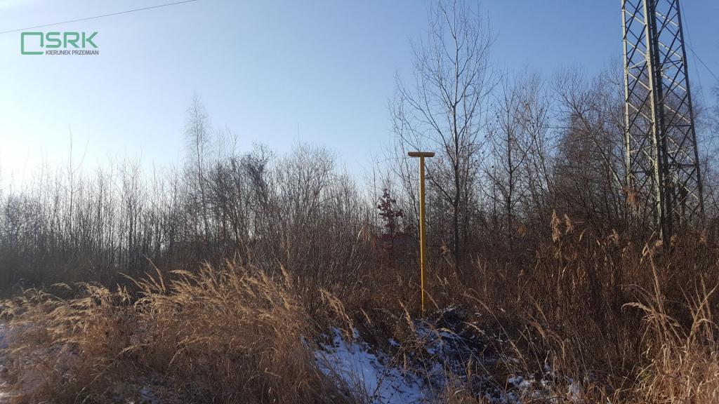 Działka inwestycyjna 2,99 ha, Brzeszcze, Lesisko - zdjęcie 3