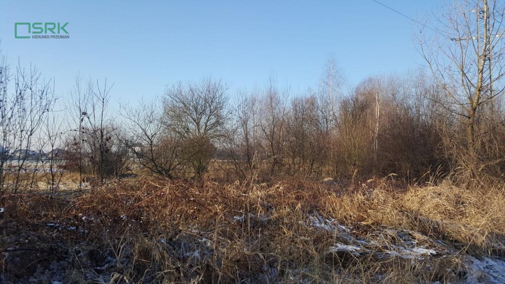 Działka inwestycyjna 2,99 ha, Brzeszcze, Lesisko - zdjęcie 4