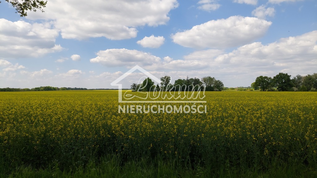 Działka rolna 1,13 ha, Mielno - zdjęcie 2