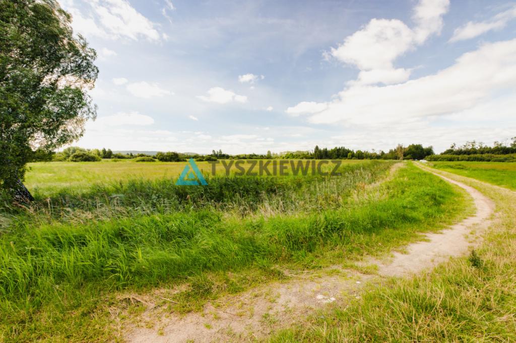 Działka blisko Zatoki Puckiej - zdjęcie 16