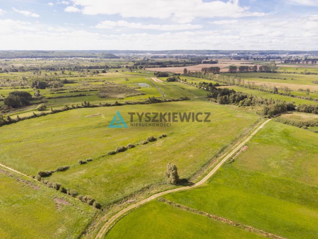 Działka blisko Zatoki Puckiej - zdjęcie 5