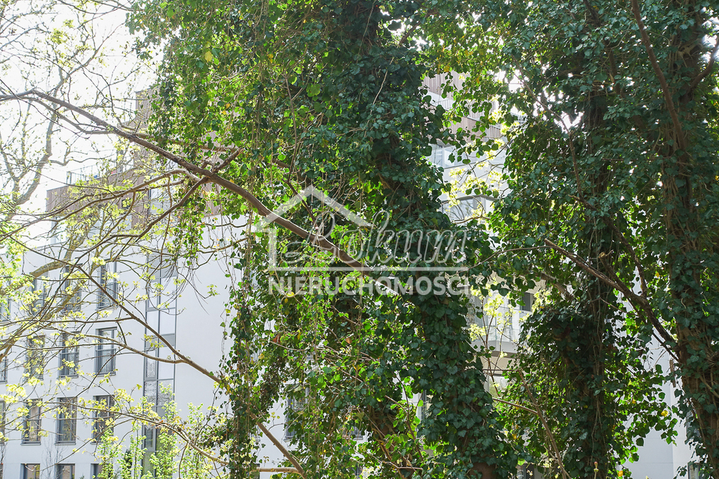 Mieszkanie 36,95&nbsp;m², Dziwnów - zdjęcie 4