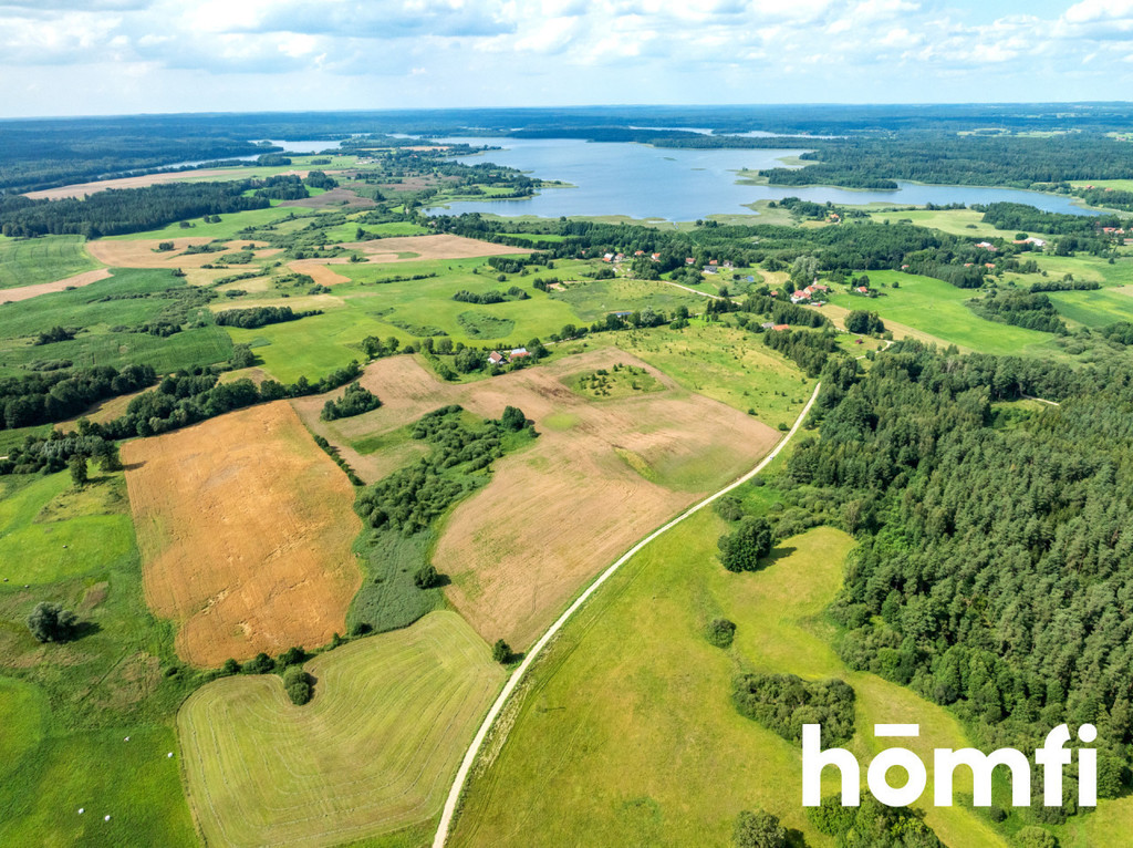 Działka rolna 10,00&nbsp;ha, Rogojny - zdjęcie 3