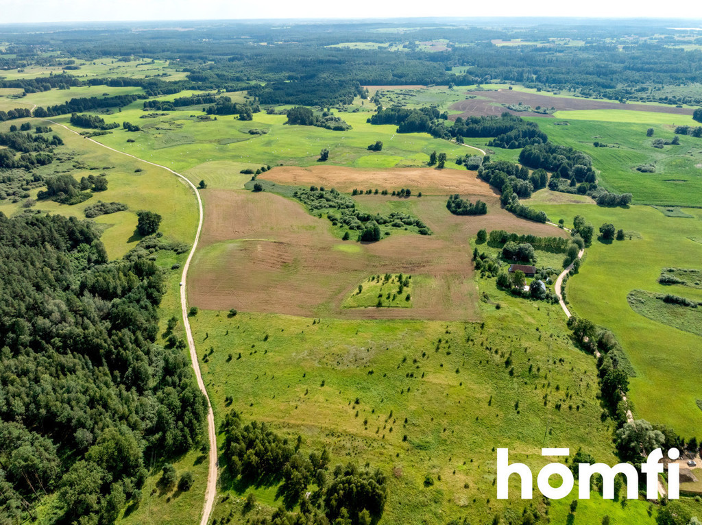Działka rolna 10,00&nbsp;ha, Rogojny - zdjęcie 4