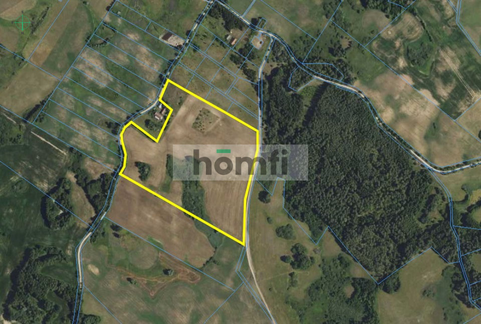 Działka rolna 10,00&nbsp;ha, Rogojny - zdjęcie 14