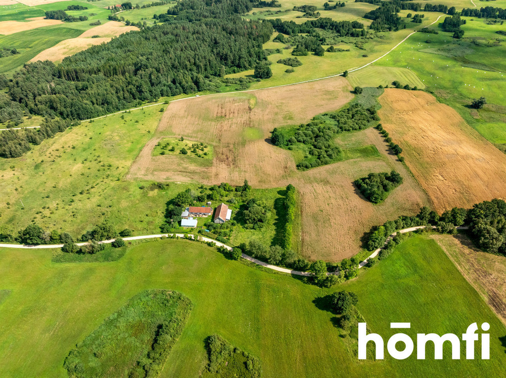 Działka rolna 10,00&nbsp;ha, Rogojny - zdjęcie 6