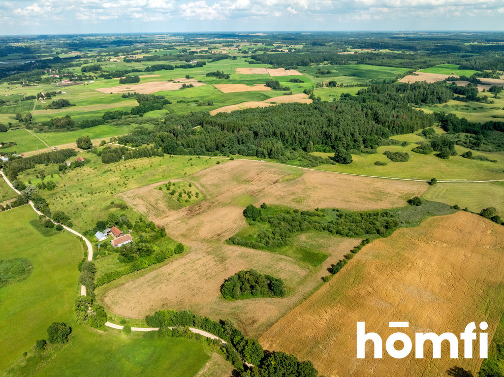 Działka rolna 10,00&nbsp;ha, Rogojny - zdjęcie 8