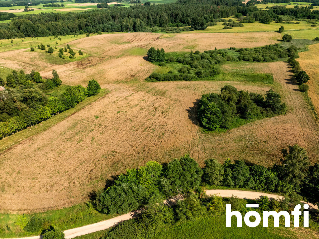Działka rolna 10,00&nbsp;ha, Rogojny - zdjęcie 12