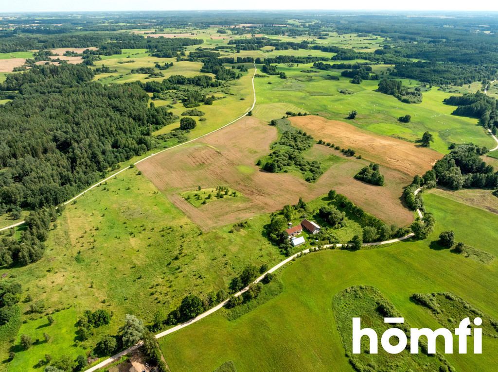 Działka rolna 10,00&nbsp;ha, Rogojny - zdjęcie 5