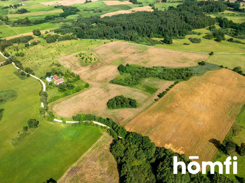 Działka rolna 10,00&nbsp;ha, Rogojny - zdjęcie 7