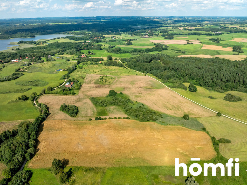 Działka rolna 10,00&nbsp;ha, Rogojny - zdjęcie 2