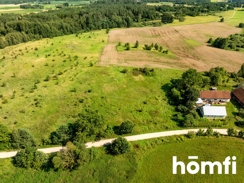 Działka rolna 10,00&nbsp;ha, Rogojny - zdjęcie 10