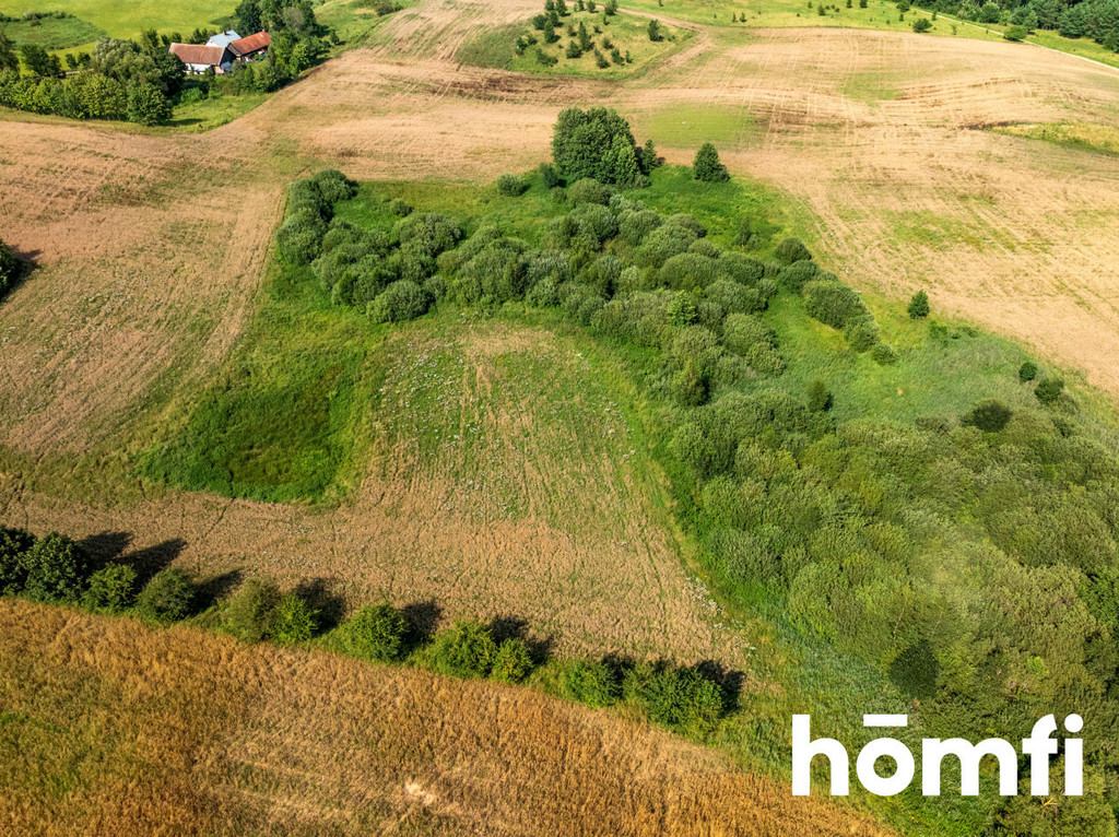 Działka rolna 10,00&nbsp;ha, Rogojny - zdjęcie 13