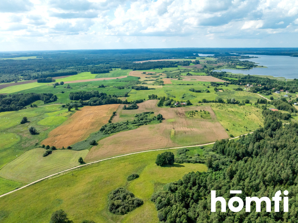 Działka rolna 10,00&nbsp;ha, Rogojny - zdjęcie 1