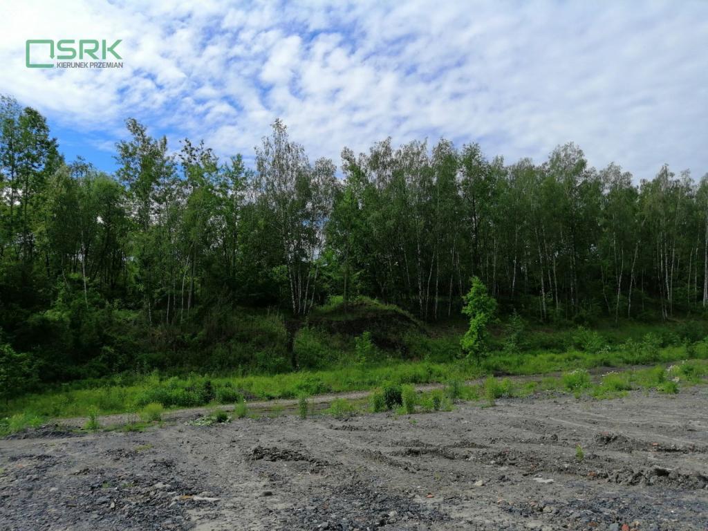 Działka inwestycyjna 15,47&nbsp;ha, Zabrze, Ziemska - zdjęcie 4