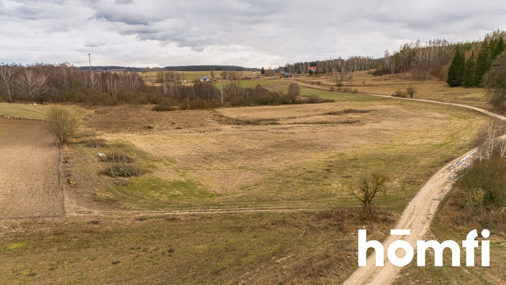 Działka rolna 2,23 ha, Kronowo - zdjęcie 8