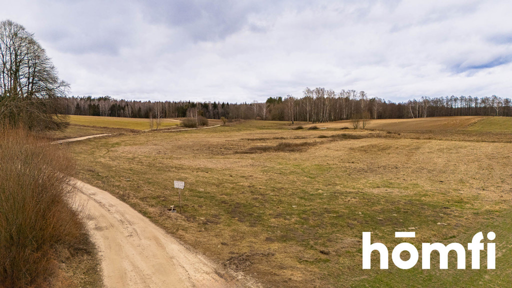 Działka rolna 2,23 ha, Kronowo - zdjęcie 7