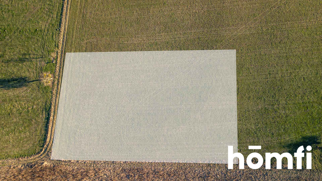Działka rolna 4655 m², Kamionki - zdjęcie 6