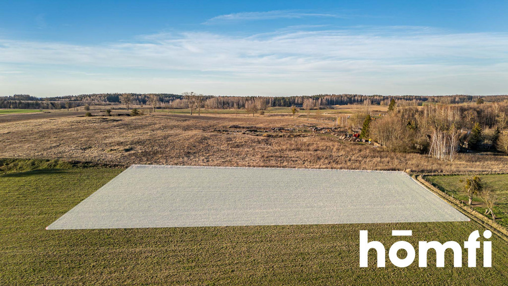 Działka rolna 4655 m², Kamionki - zdjęcie 10