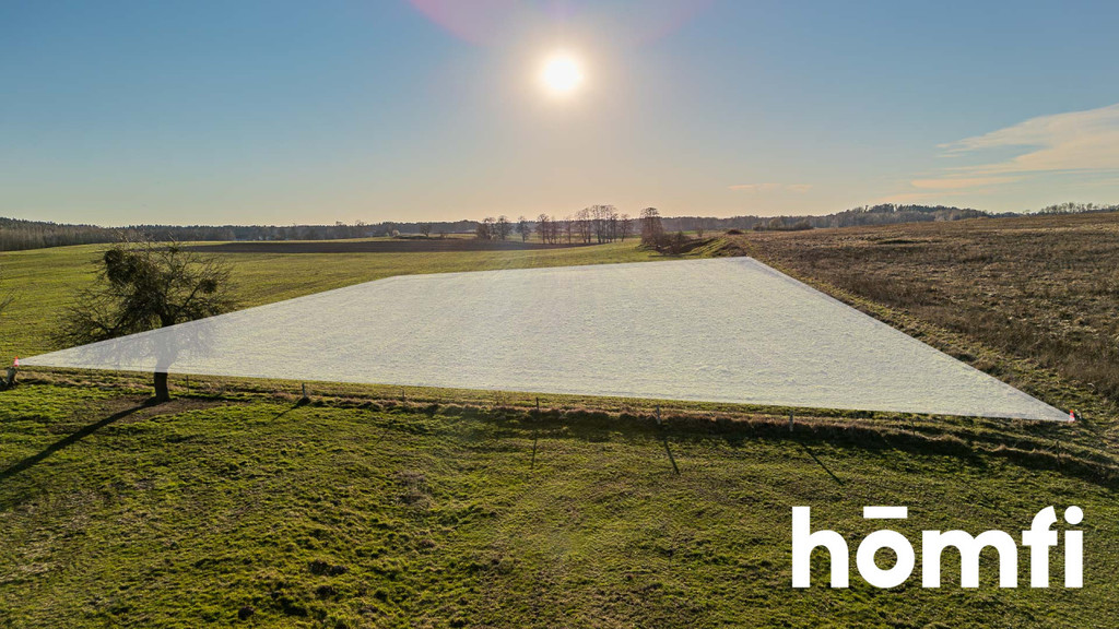 Działka rolna 4655 m², Kamionki - zdjęcie 5