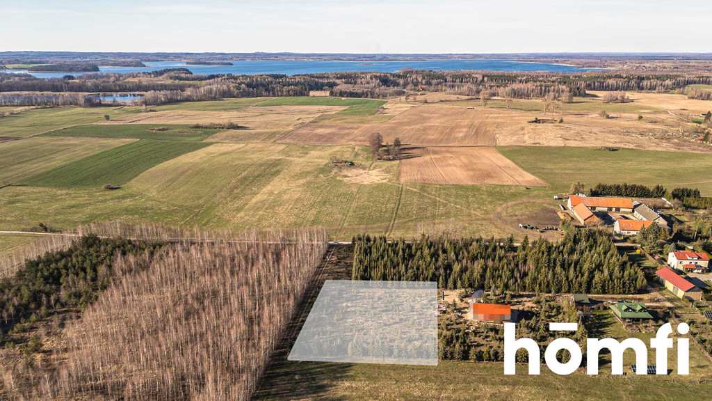 Działka rolna 4083 m², Kamionki - zdjęcie 4