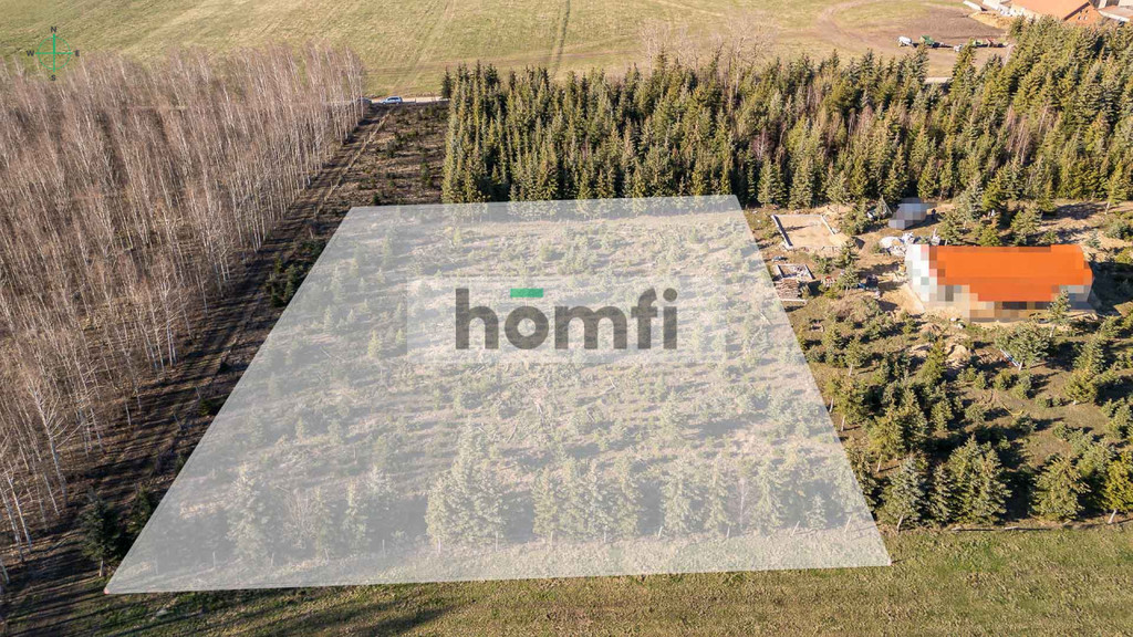 Działka rolna 4083 m², Kamionki - zdjęcie 2