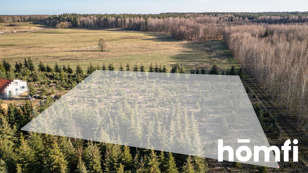 Działka rolna 4083 m², Kamionki - zdjęcie 6