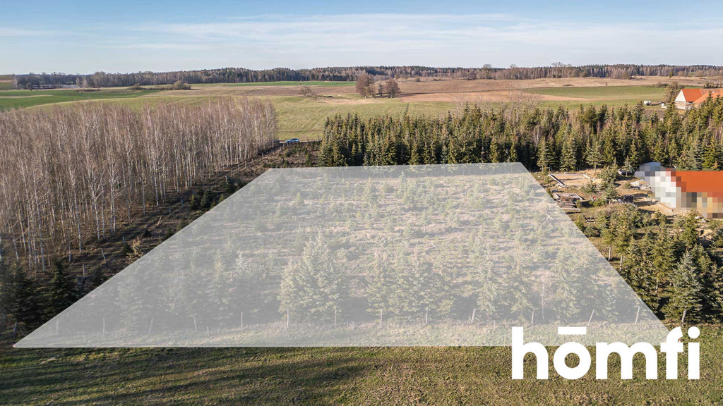 Działka rolna 4083 m², Kamionki - zdjęcie 7