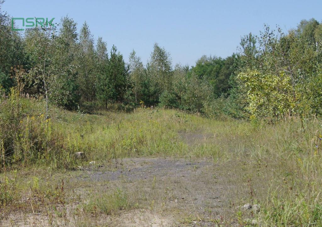 Działka inwestycyjna 15,77&nbsp;ha, Zabrze, Lubuska - zdjęcie 3