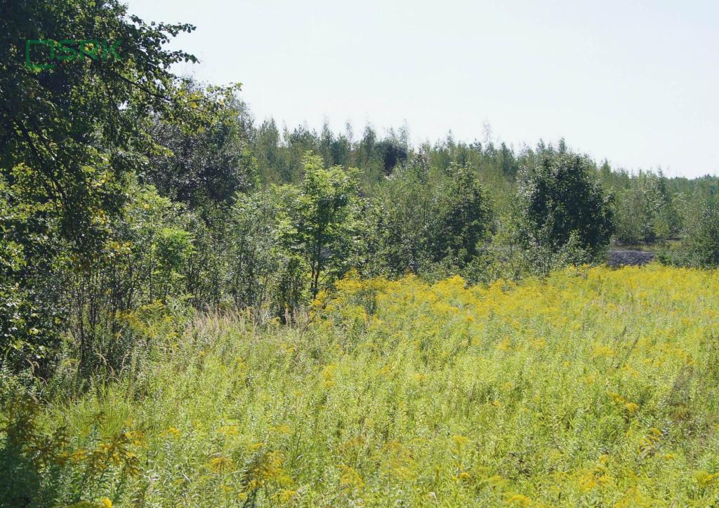 Działka inwestycyjna 15,77 ha, Zabrze, Lubuska - zdjęcie 2
