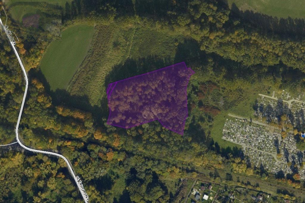 Działka inwestycyjna 1,03&nbsp;ha, Zabrze, Składowa - zdjęcie 1