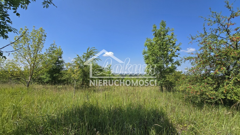 Działka budowlana 2616&nbsp;m², Radziszewo, Liliowa - zdjęcie 7