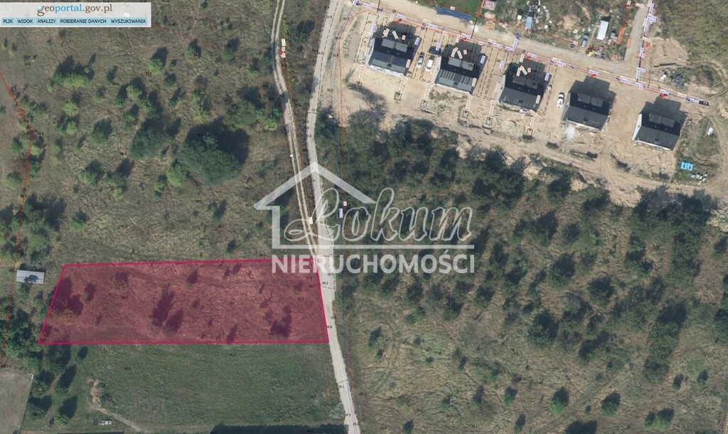 Działka budowlana 2616&nbsp;m², Radziszewo, Liliowa - zdjęcie 11