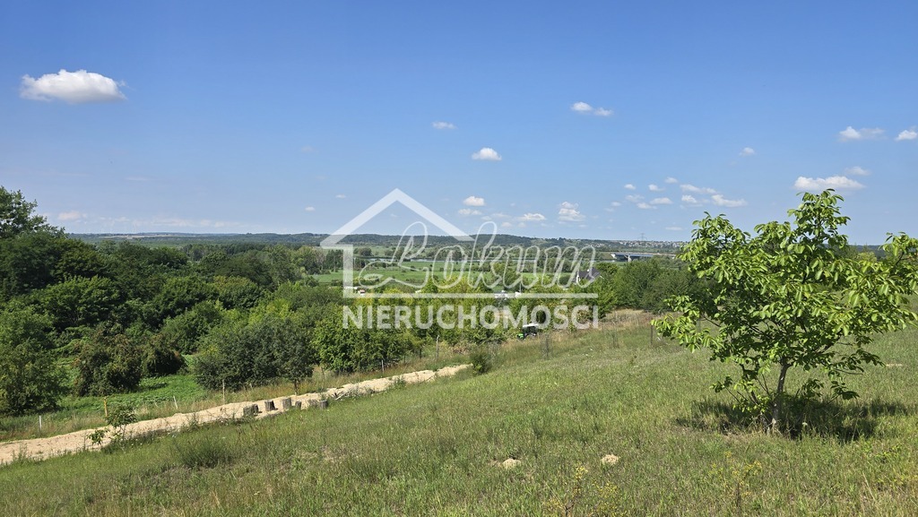 Działka budowlana 2616&nbsp;m², Radziszewo, Liliowa - zdjęcie 9