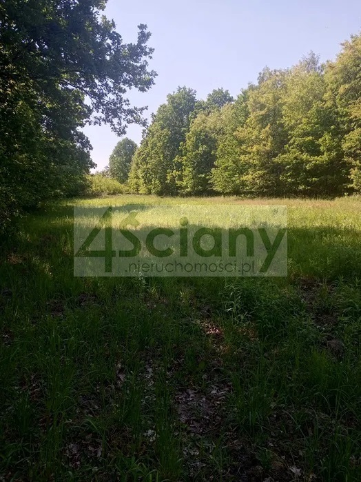 Działka budowlana 2461 m², Chrzanów Mały - zdjęcie 1
